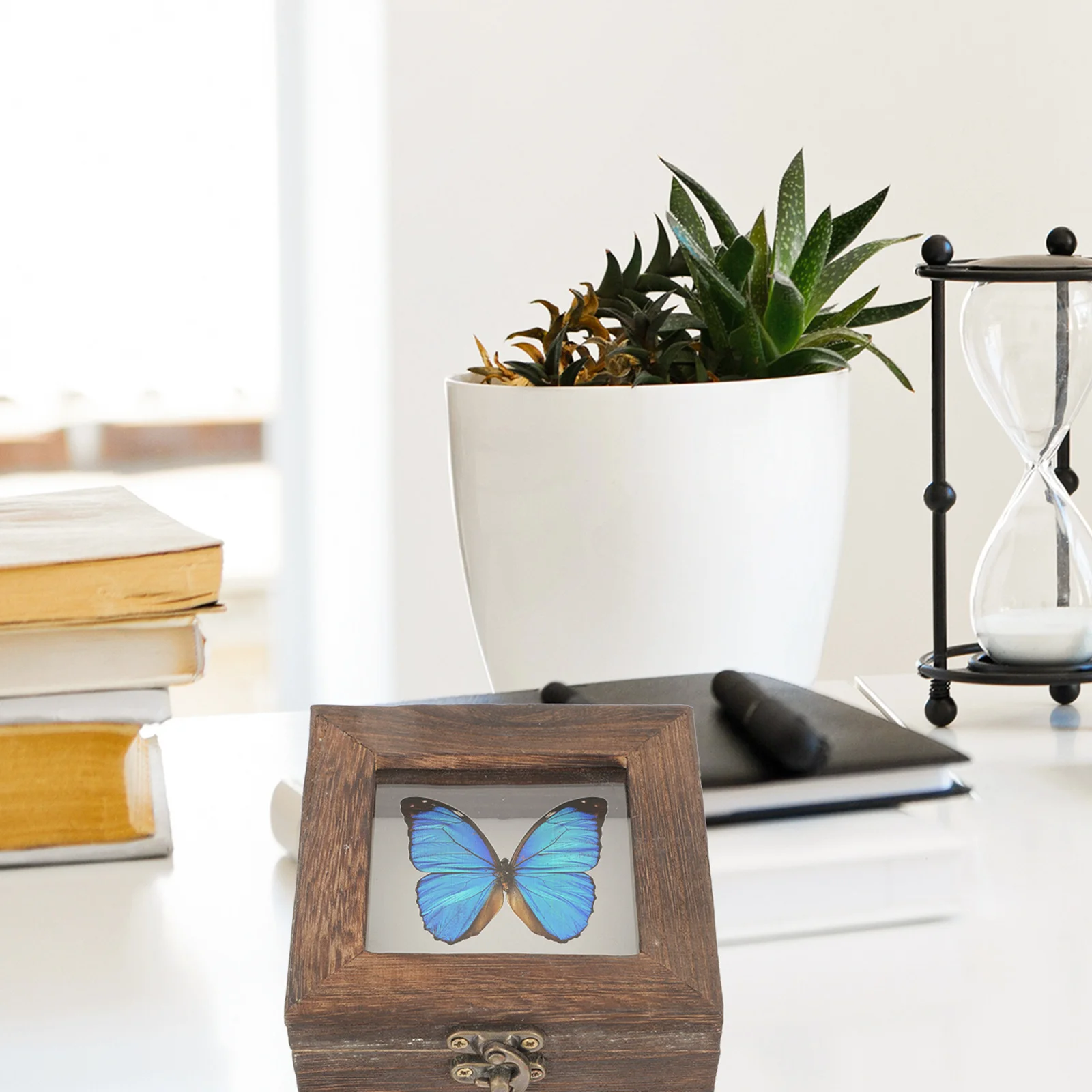 

Cabilock Wooden Jewelry Box Specimen Viewer Glass Terrarium with Lid Acrylic Display Case Organizer Tray Chinese Style