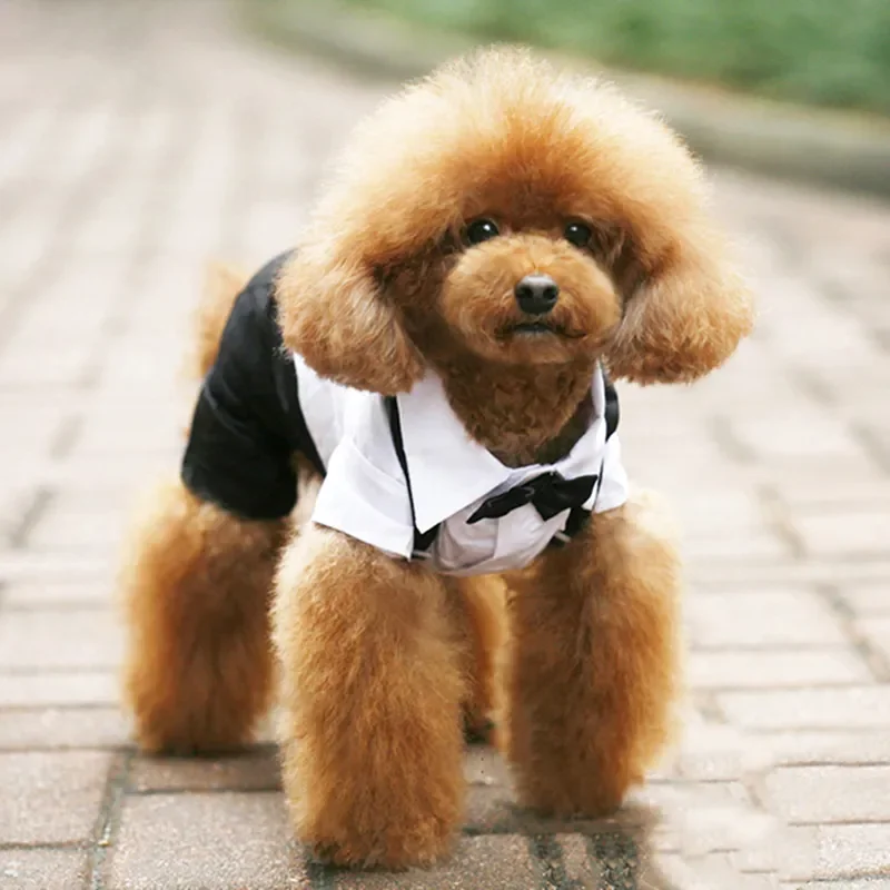 Dog Tuxedo Suit Costume Pet Cat Dog Wedding Birthday Party Formal Shirt With Bow Tie For Puppy Small Medium Dogs Costume Clothes view 3