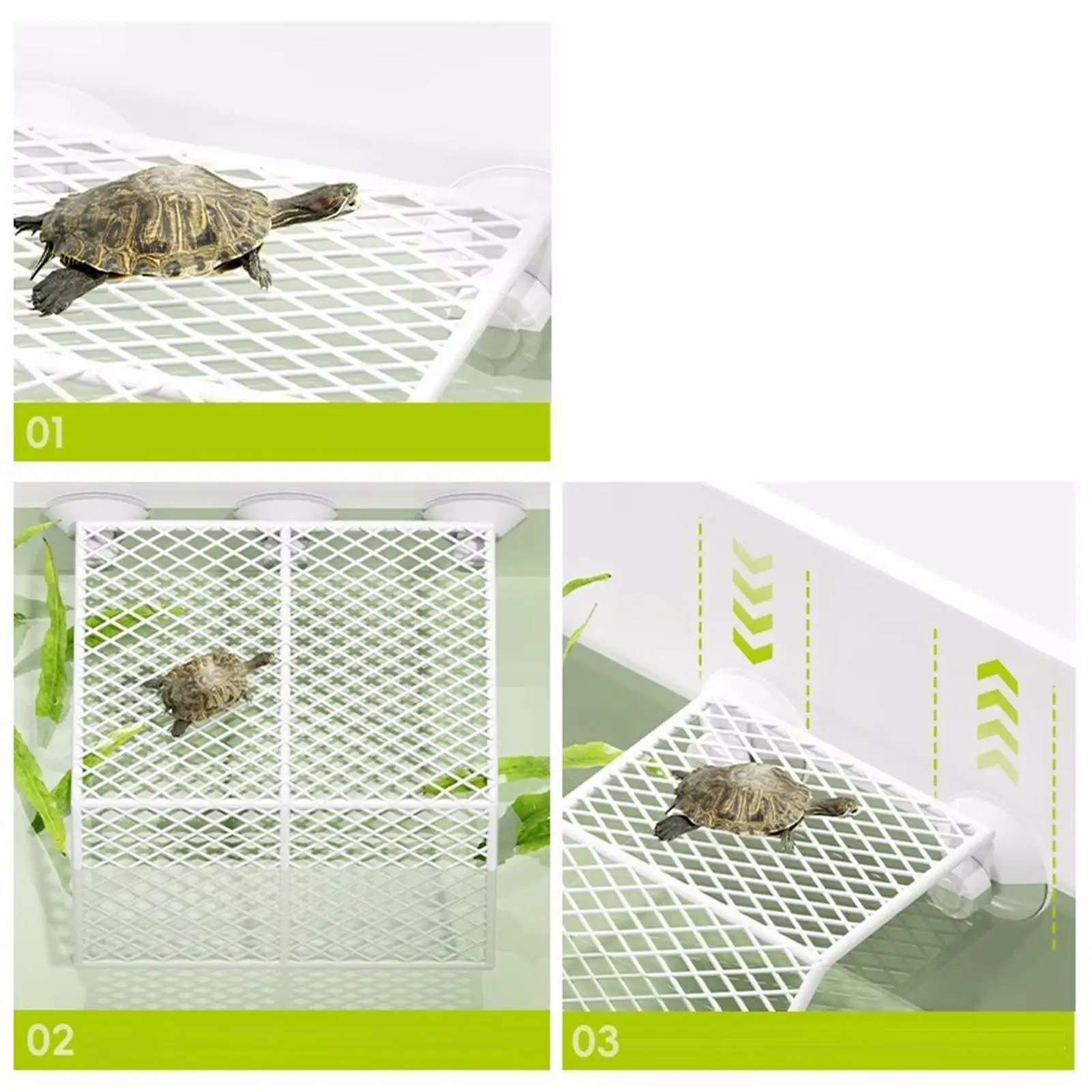 TurtleBaskingPlatformReptileRestingTerraceSturdySuctionFeedingRampforAquaticTurtleAquarium-AliExpress