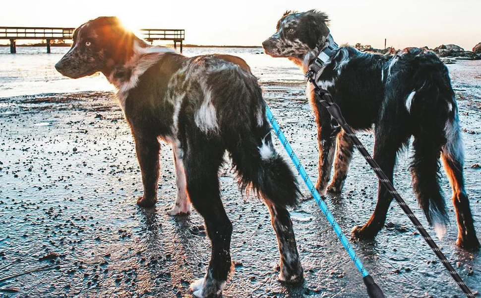 120/150/200/300 cm reflektierende Hundeleine mit weichem Griff, verstärkte Leine für kleine, mittelgroße und große Hunde, großes Hundezubehör – Detail 1