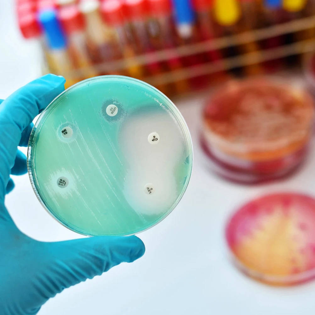 

10pcs Culture Plate 70mm Transparent with Lid for Lab Experiment Plastic Petri Dish agar Plates teaching Supplies