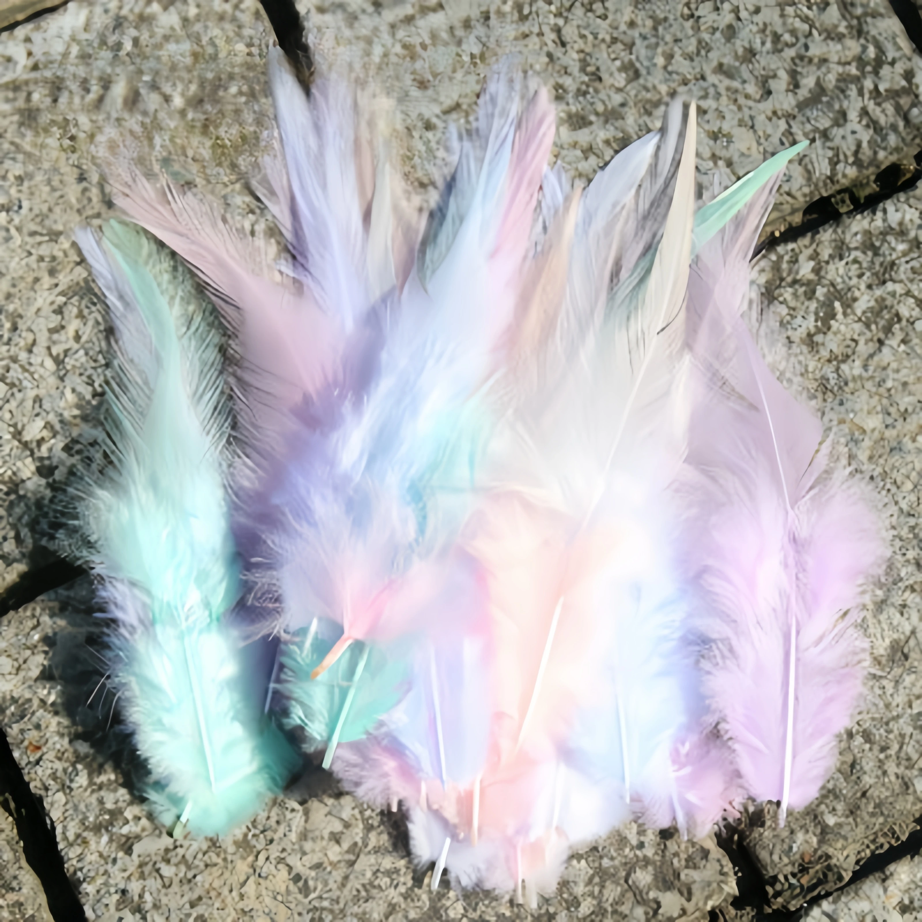 

100PCS Wild Rooster Feathers 12-15cm Natural Feathers for DIY Crafts Pendant Earrings Dream Catcher Jewelry