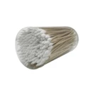 Pointed Tip-300 PCS