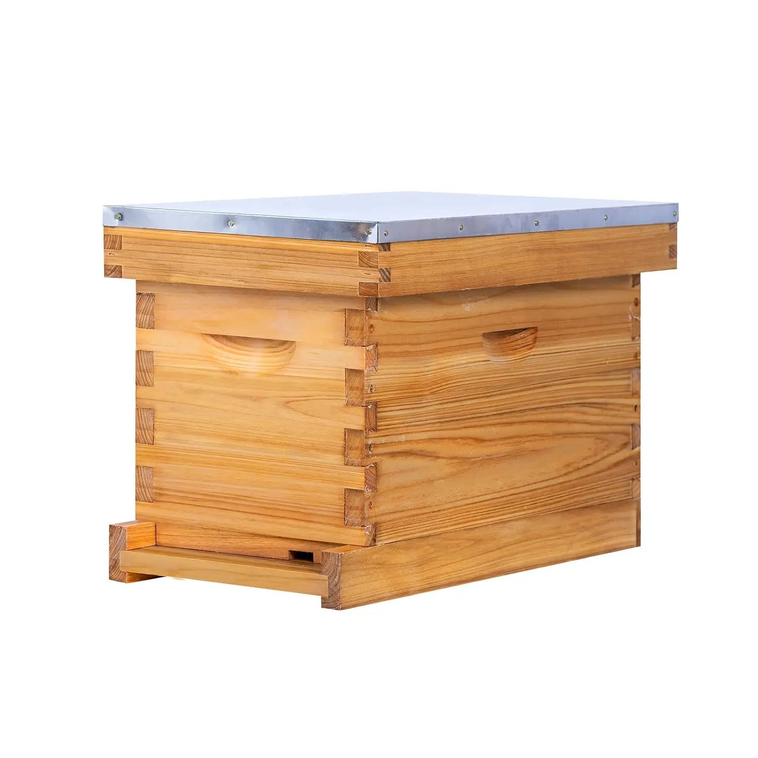 5 Frame Nuc Beehive Kit Complete Nuc Box Beeswax Coated Includes Beehive Frames & Waxed Foundations