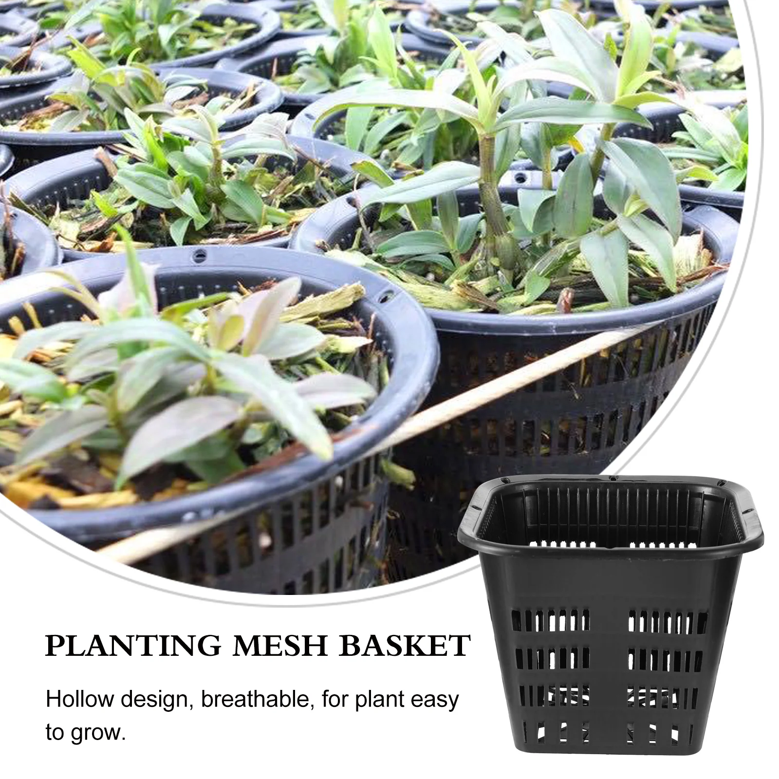 10 Pcs Hydroponic Basin Plant Live Indoor Garden Plastic Net Basket Pot Pebble Orchid Flowers Planting Grow Hydroponics