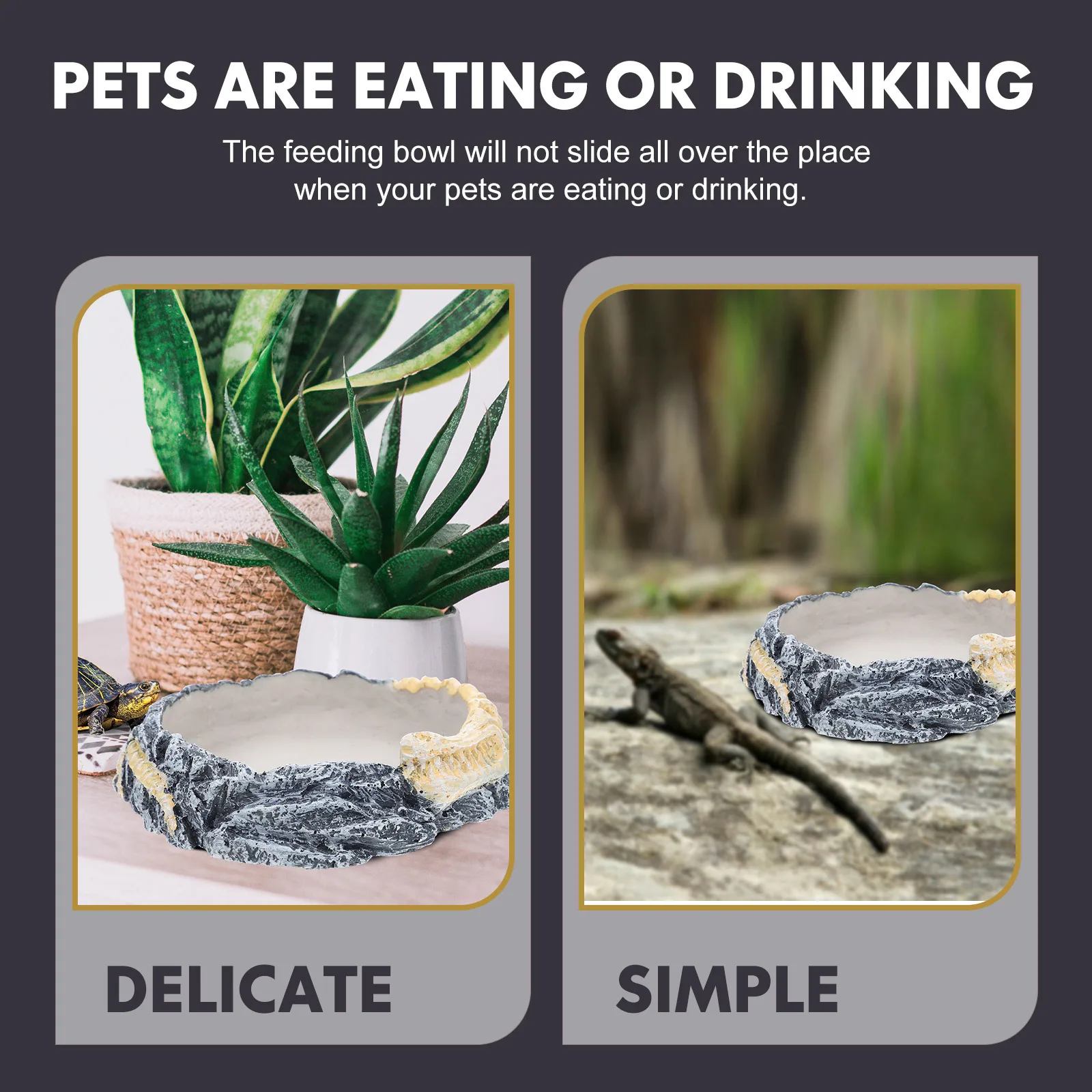 

Reptile Water Dish For Lizards Horned Frogs Premium Resin Feeding Bowl Non- Multi-Function Accessory Decorative