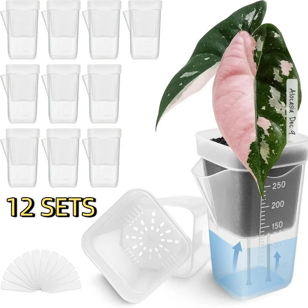12 Set Clear Plastic Self Watering Pots Drainage Holes Dual Layers Propagation Plant Pot with Scale