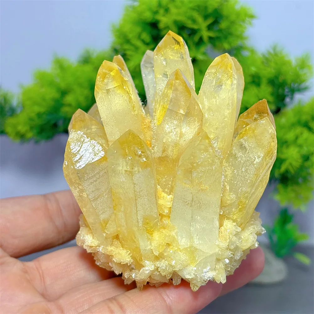 Citrine Cluster Specimen Natural Crystal Room decor Lucky Quartz Stone Garden Reiki Gifts Healing Energy Love Home Decoritems