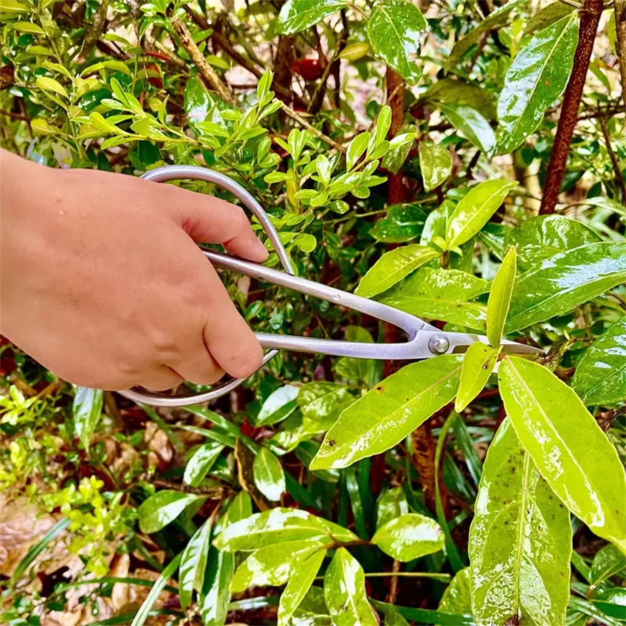 Stainless Steel Scissors Gardening Plant Branch Shears Flower Cutting Flower Shears Flowers Shop Scissors Flowers Shop Scissors