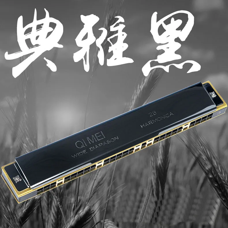 Hooqu Высококачественная губная гармошка для начинающих и взрослых, профессиональная 28-луночная полифоническая губная гармошка с акцентом C