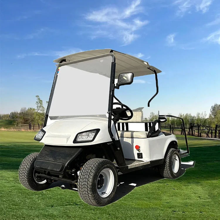 Factory Custom Golf Buggy 4 Wheel 3.5Kw Electric Golf Car 2seater Off-Road Tire Electric Car