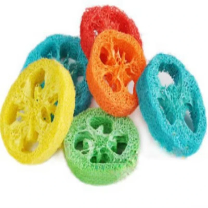 Parakeet Chewing Toy Parrot Bird Bites Swing Luffa Slices Shaped Bird Chew Toys Parrot Bird Cage Toys Bird Toys 20pc/lot