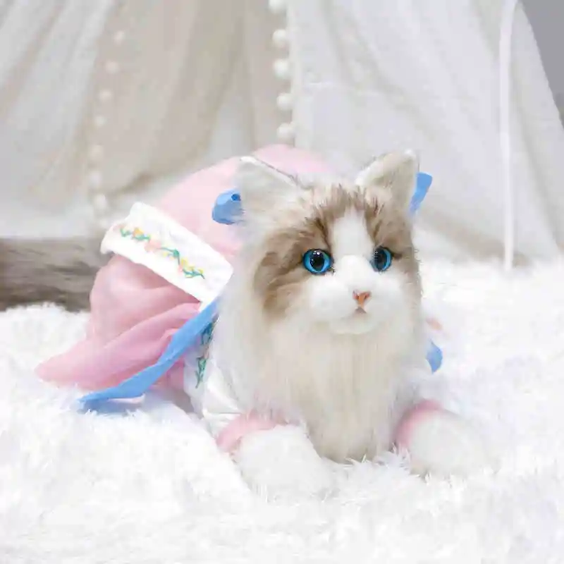 Simulação fofa ragdoll boneca de pelúcia kawaii gato macio animal de pelúcia menina travesseiro de dormir aniversário presente de natal decoração de casa