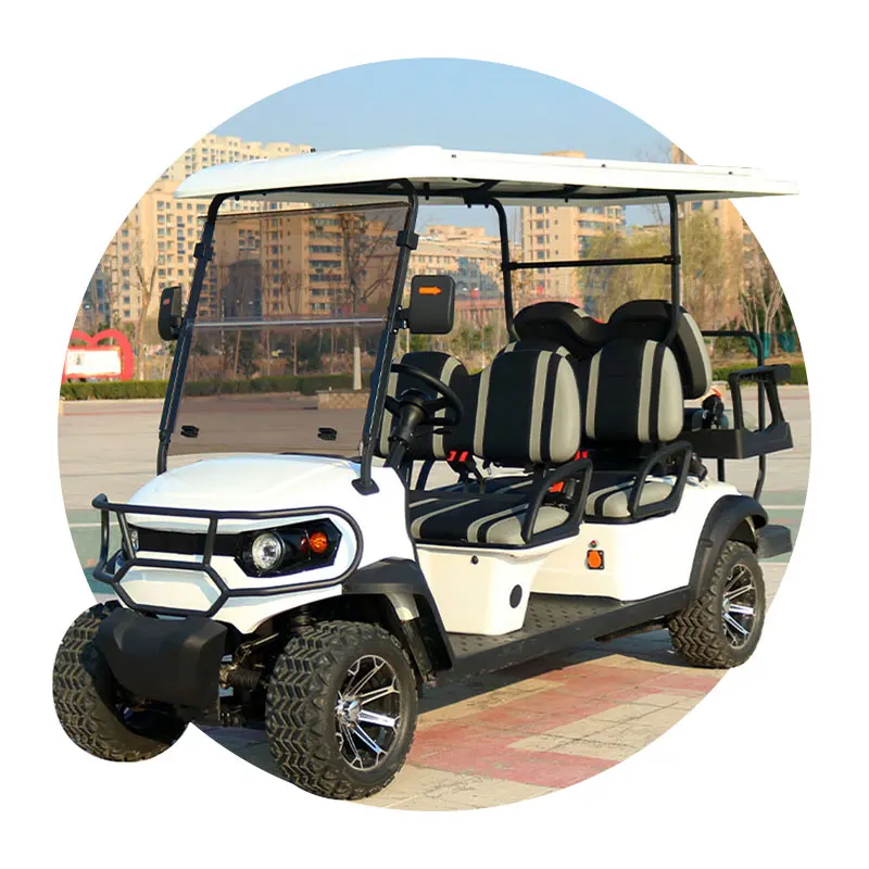 Street Legal 2/4/6/8 Seat Lithium Battery Utility Electric Golf Cart Carro De Golf Electrico With Curtis Controller