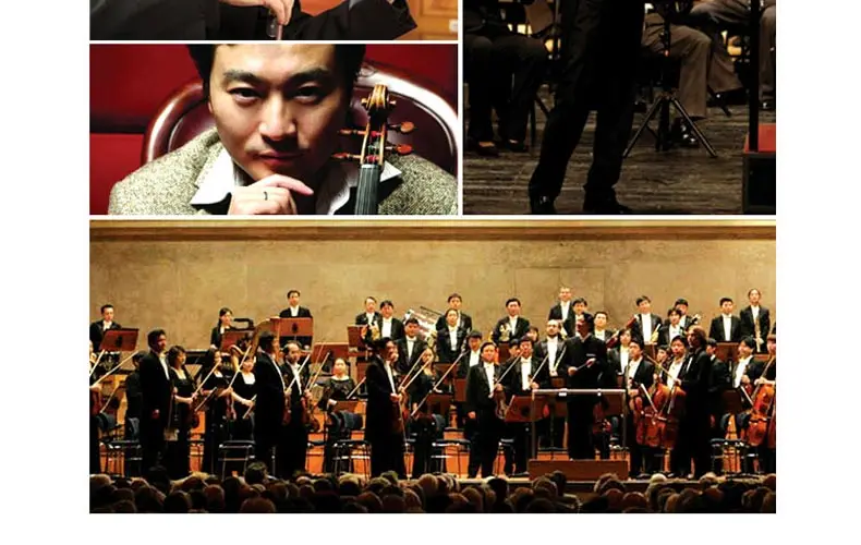 정품, 바이올린 연주, 자동차 CD