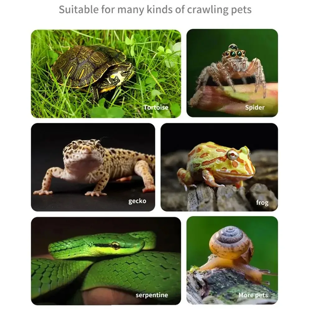 Schildkröten-Badebecken-Futternapf, langlebiger Reptilien-Wassernapf für Box, Schildkröten, Frösche und Haustiere, leicht zu reinigendes Lebensraum-Zubehör – Detail 7