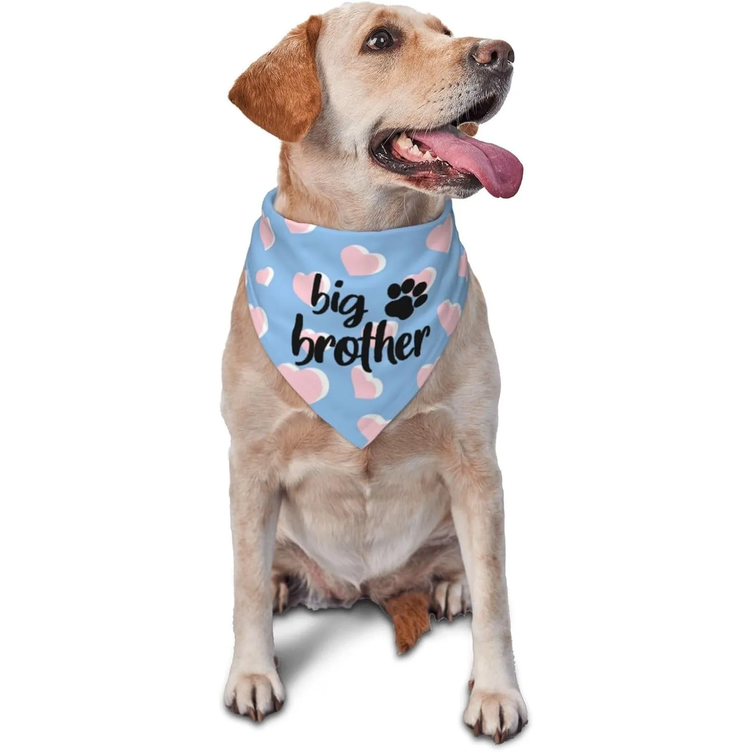 Big Brother Gender Reveal Baby Announcement Dog Bandana Matching Family Triangle Dog Bandana for Dogs