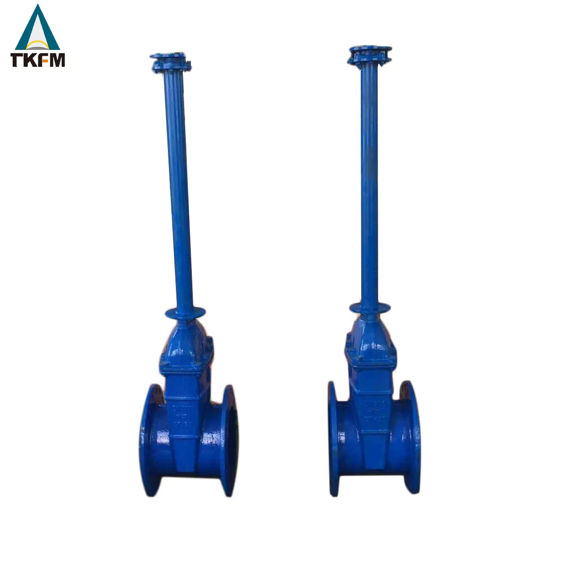 For Manual API 600 Astm A216 Wcb Flanged Gate Valves 4 Extension Extended Bonnet Spindle for Oil Gas Pipeline