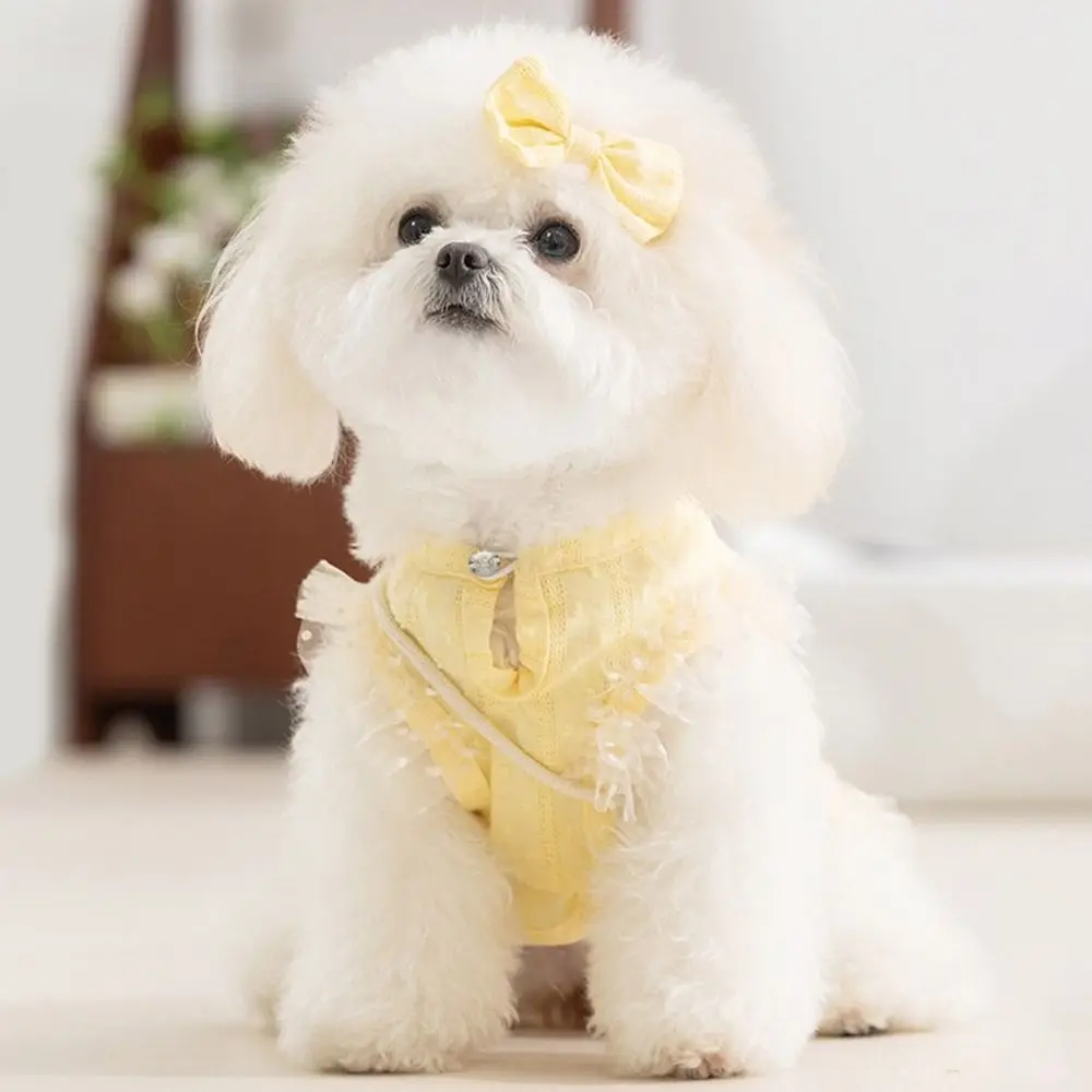 

Fashion Thin Pet Lace Dress Breathable Comfortable Dog Two Leg Clothes with Bag and Hair Clip Cat Princess Skirt for Dogs Cats