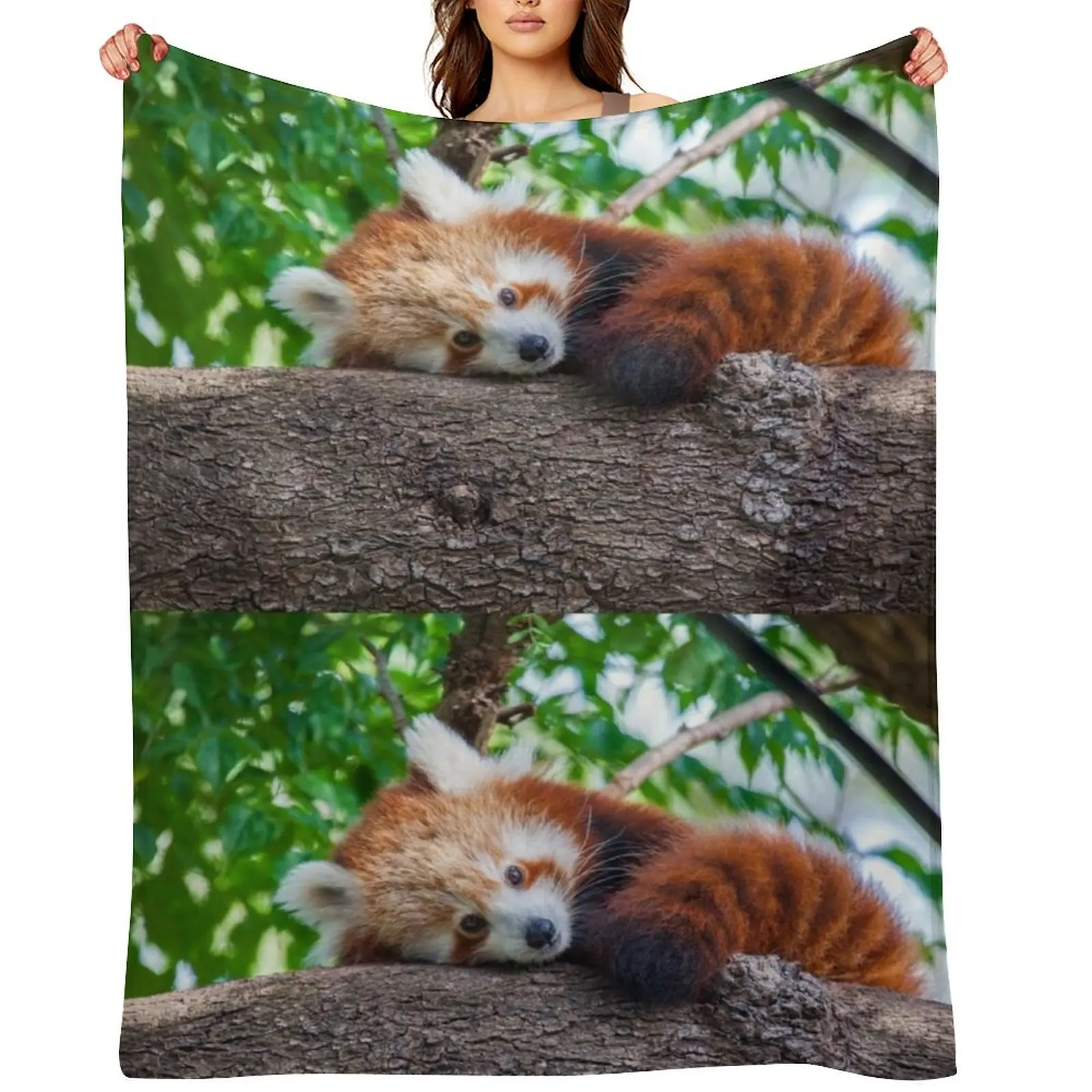 

Red Panda Pose Throw Blanket wednesday Blankets For Baby christmas decoration christmas gifts Blankets