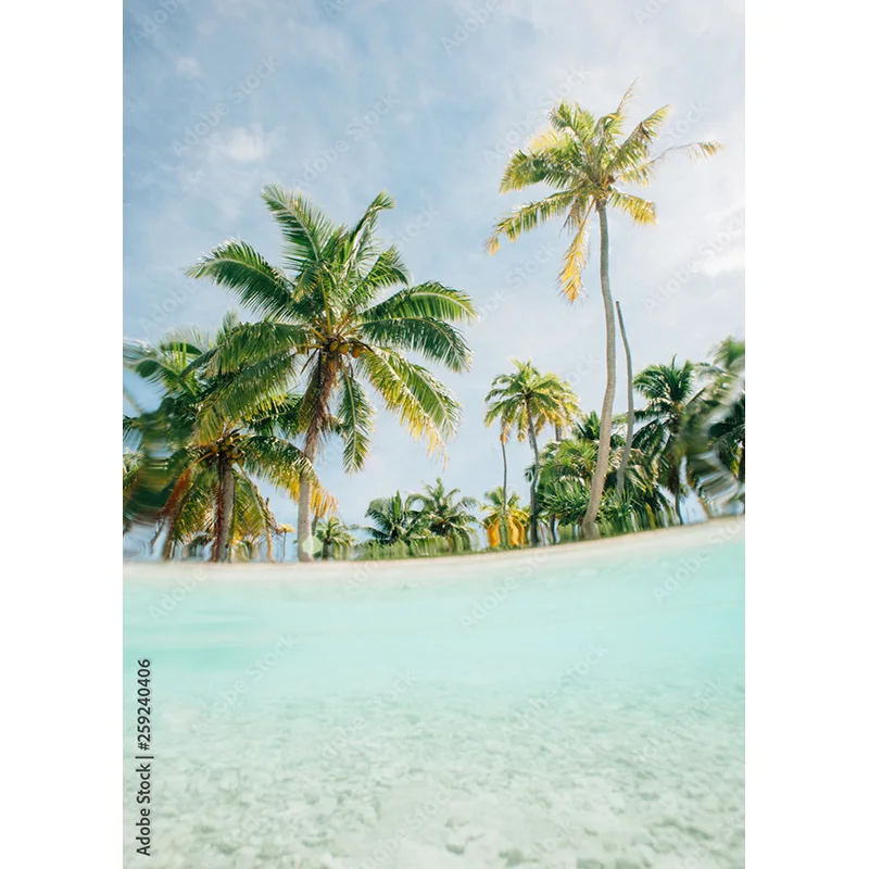 NITREE Tropical Sea Beach Palms Tree Photography Background Scenic Photo Backdrops Photocall Photo Studio HHB 03