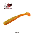 CA24