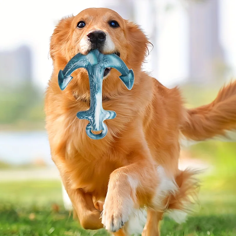 لعبة تفاعلية للكلاب الأليفة للكلاب الصغيرة والمتوسطة، لعبة جرو مقاومة للعض، ألعاب تنظيف أسنان الحيوانات الأليفة، مستلزمات الحيوانات الأليفة #3