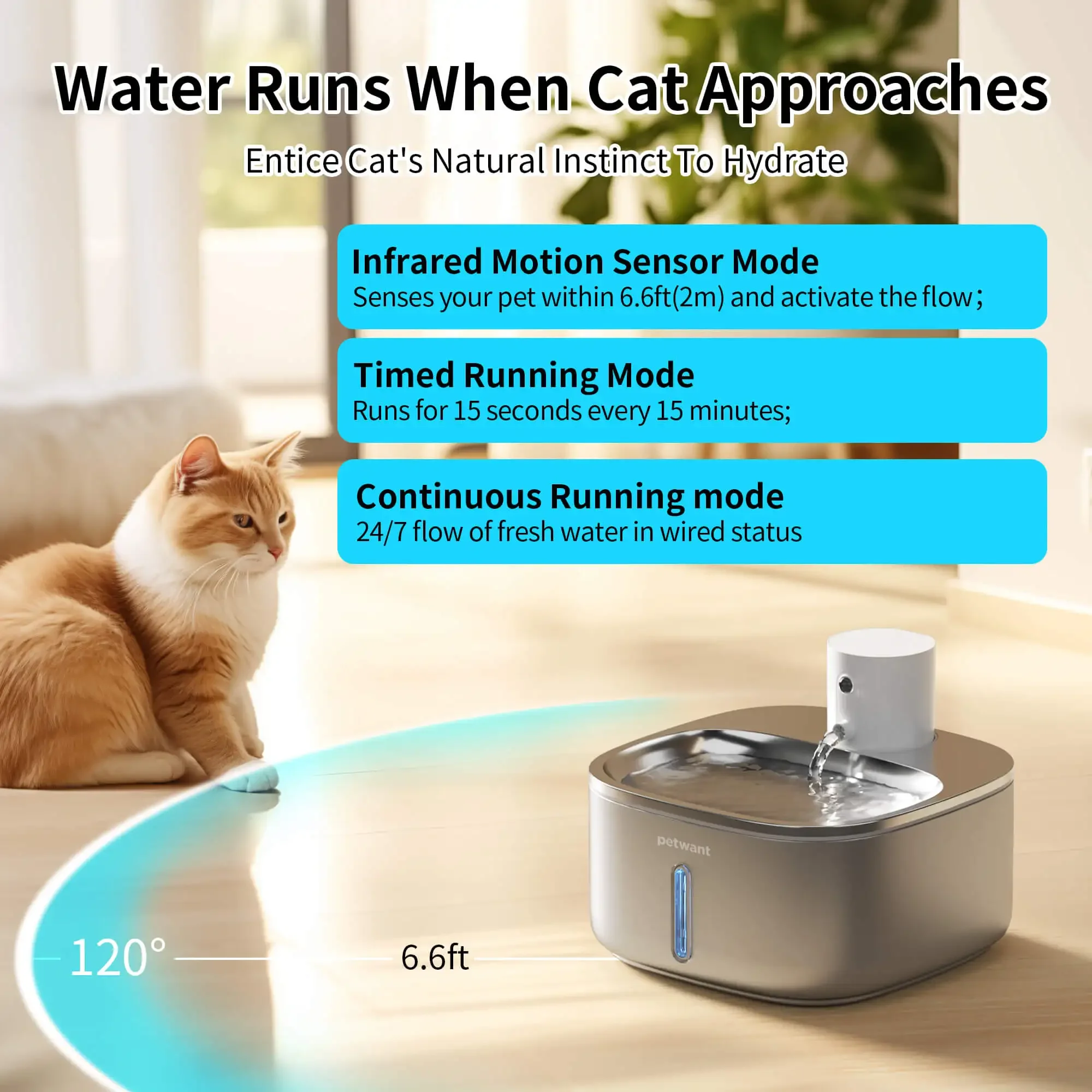 Petwant 3.2L Stainless Steel Battery Operated Automatic Pet Cat Drinking Water Fountain for Outdoor Indoor