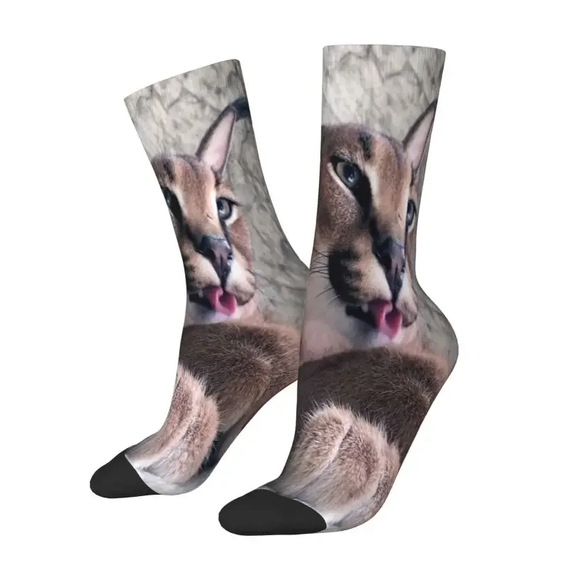 Cute Caracal Cat Dress Socks Mens Womens Warm Fashion Big Floppa Meme Crew Socks