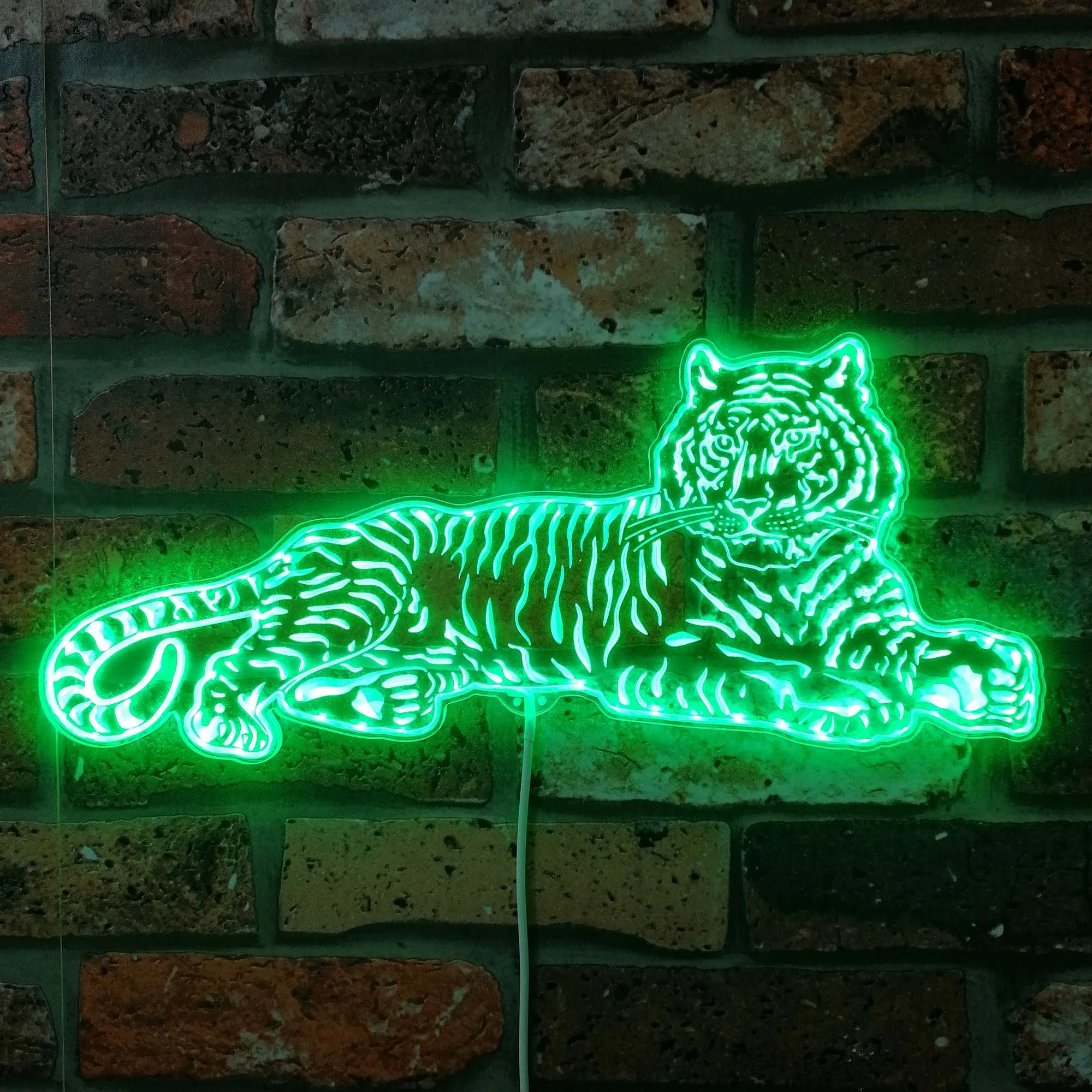 Tiger Lying Down Sport RGB Dynamic Glam LED Sign st06-fnd-i0313