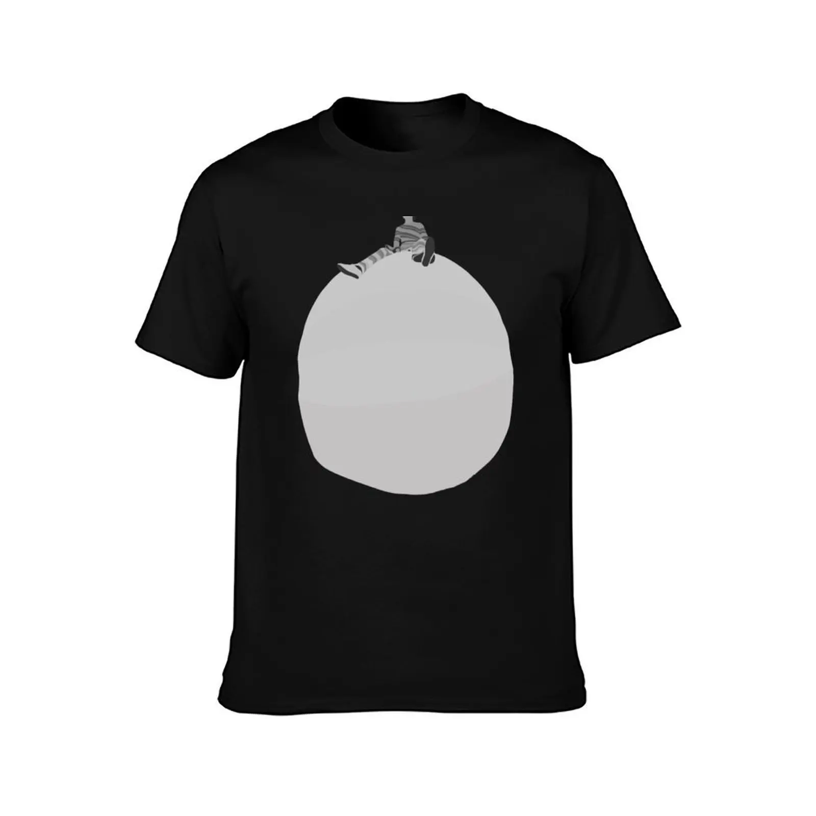 Harry’s House Profile Picture T-Shirt Holiday Simple Tee Shirt T-Shirt