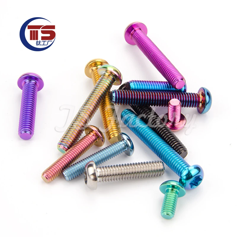 TS 10PCS Titanium Bolts M5/M6x10/15/20/25/30/35mm  Half Round Allen Key Head Screws for Motorcycle Car Aeromodelling Refit