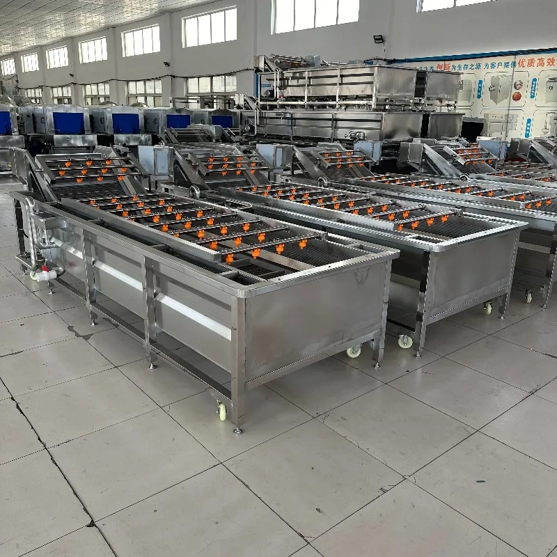 Hot Sale New Industrial Multifunctional Bubble Cleaning Machine for Vegetable & Fruit Processing Plant