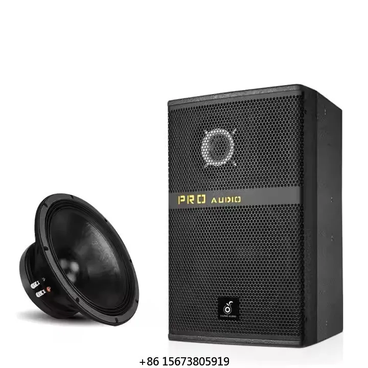 

21-inch High Power Speaker 800W High Power Sound Quality Excellent Long Life Outdoor Loudspeaker