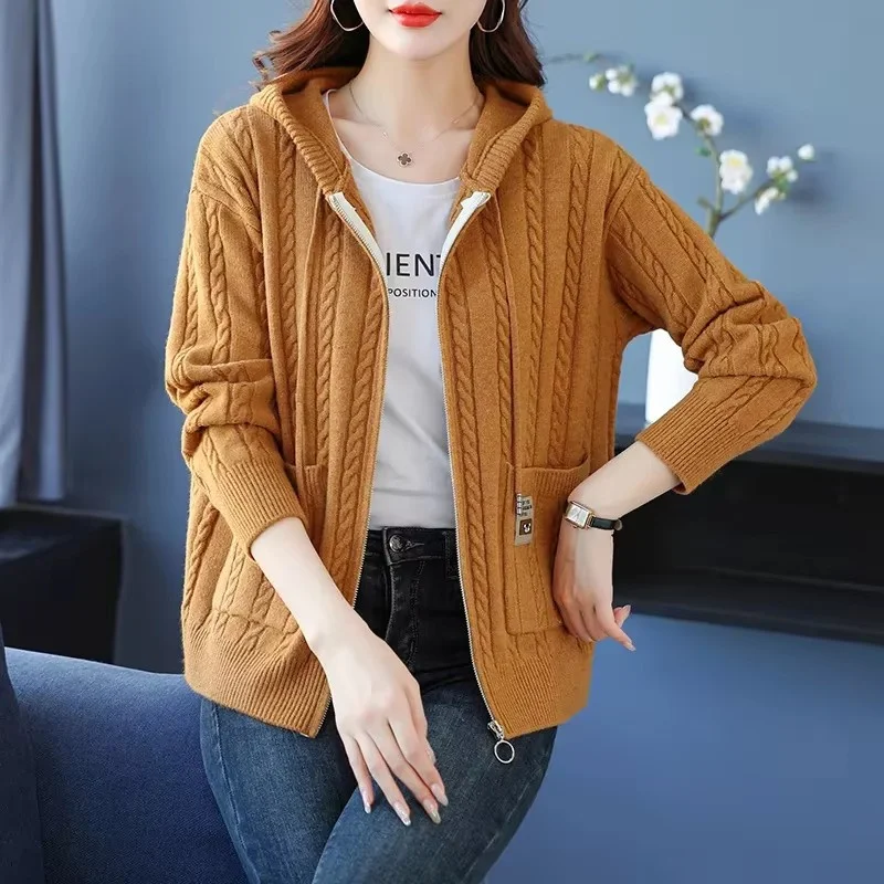 

Autumn Winter New Cardigan Sweater Coat Female Short Hooded Jacket Women's Knitwear Fashion Outerwear Zipper Ladies Overcoat