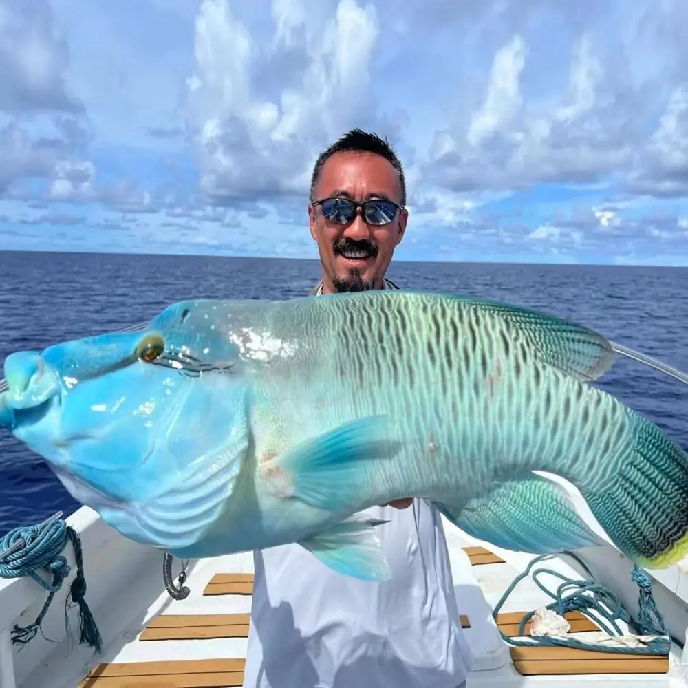 10pcs Pickerel Live กุ้งเหยื่อตะขอเหล็กคาร์บอนสูง Wacky Weedless Worm High-คาร์บอนเหล็ก Fishhook กว้าง Gap ตกปลาเบส