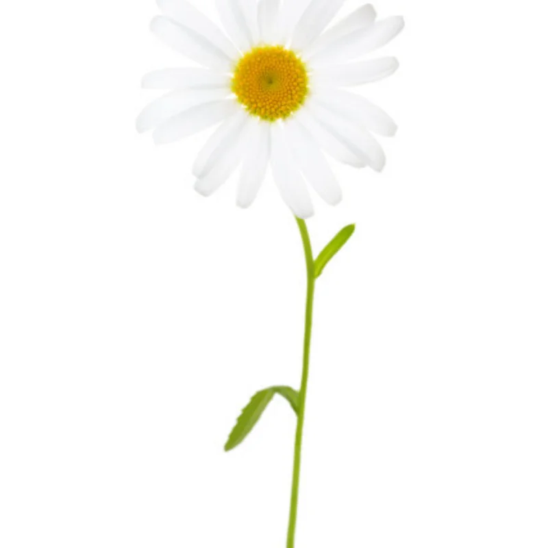 Support de chargement de remorque de voiture RC en métal 1:18, pour TRX4M SCX24 FCX24 1/18 RC, pièces de mise à niveau, accessoires