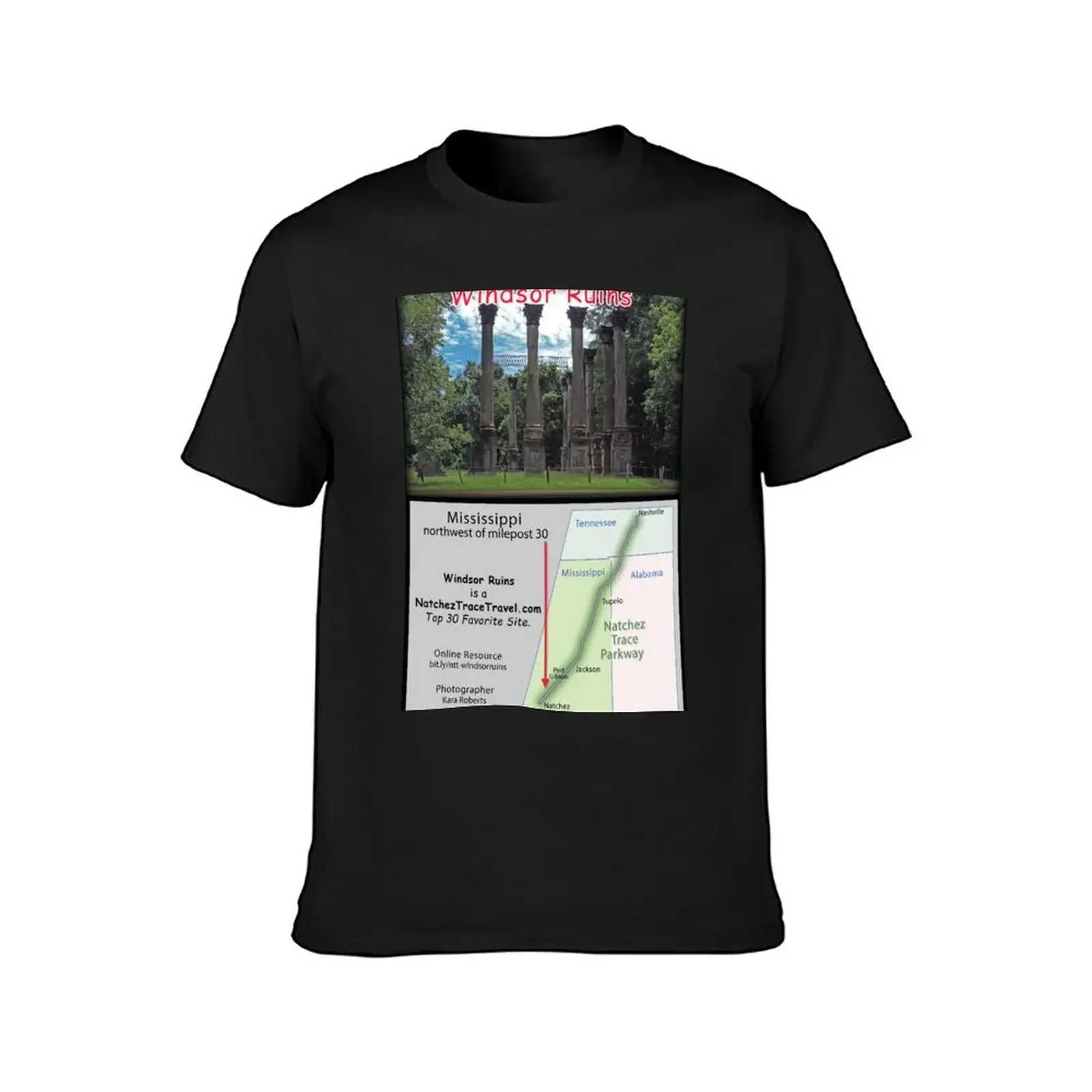 Windsor Ruins on the Natchez Trace Parkway. T-Shirt custom t shirt anime stuff mens vintage t shirts