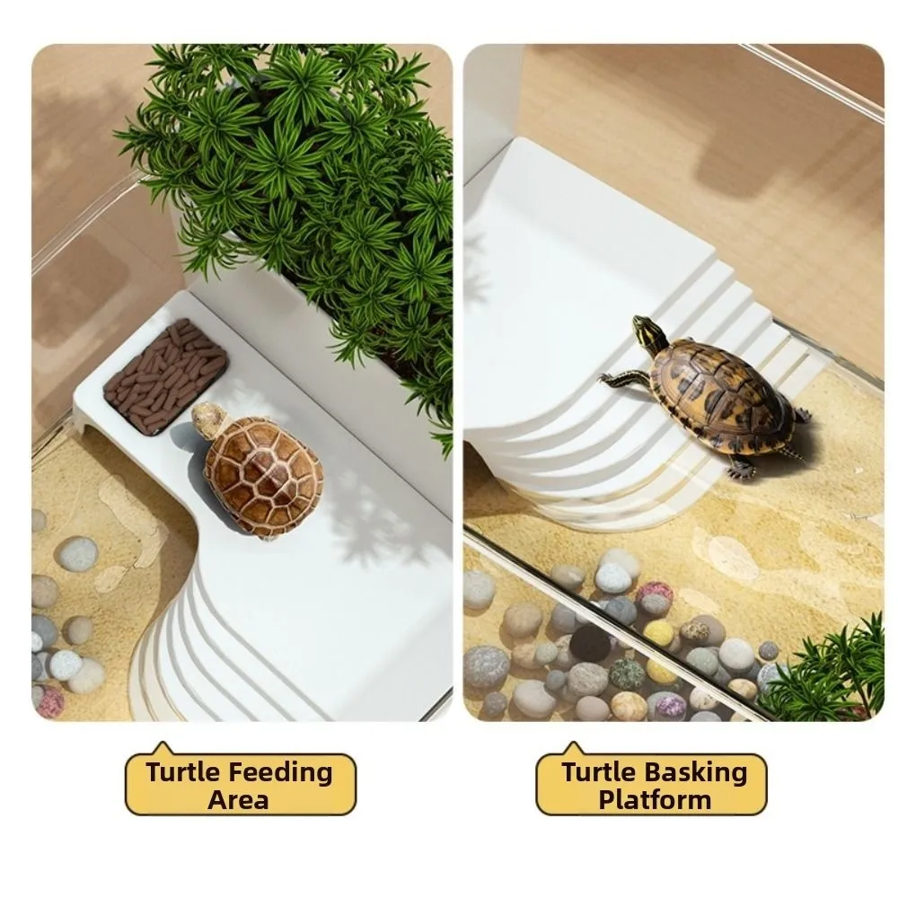 Transparent Turtle Tank with Basking Area Ecological Landscaping Reptile Terrarium Habitat Sun Climbing Aquarium view 3