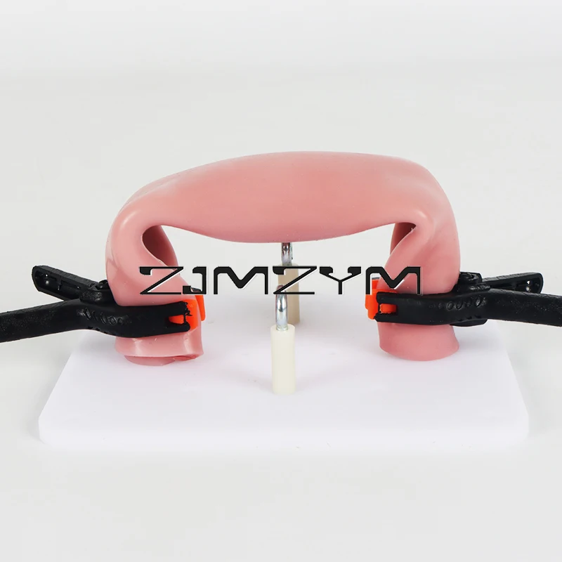 1Pc Laparoscopic Simulator Silicone Intestinal Suture Model Ergonomic Design