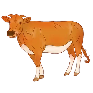 

4pcs 101MM RC Tires 3.9" OD Honeycomb Wheels for Arrma Felony Infraction 6S BLX - Durable, High-Grip, 6S Compatible