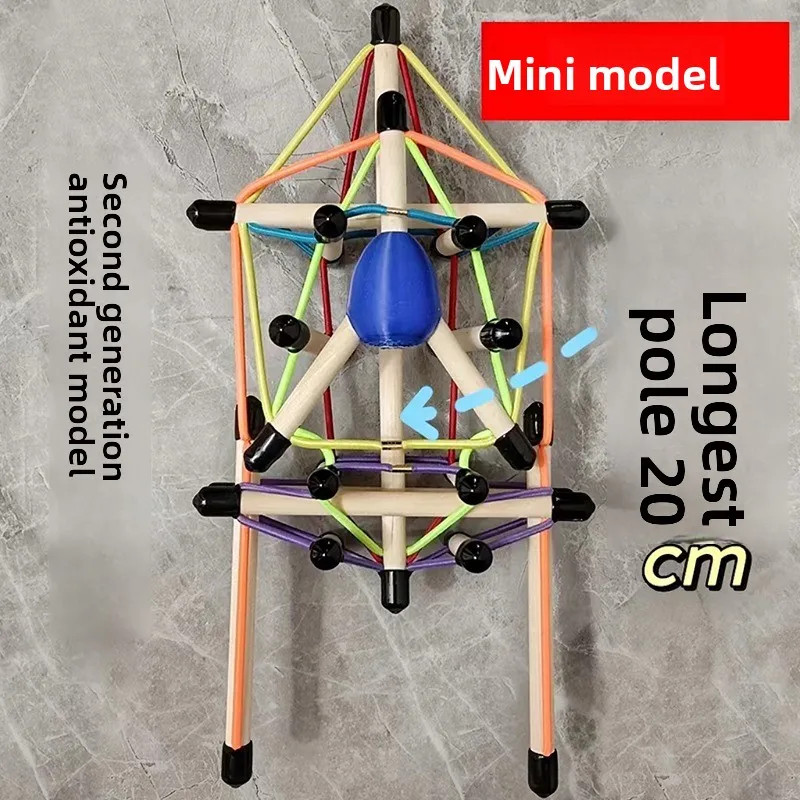 Spine and pelvis tensioning overall model structure fascia tensioning body teaching aid demonstration dynamic axis anatomy train