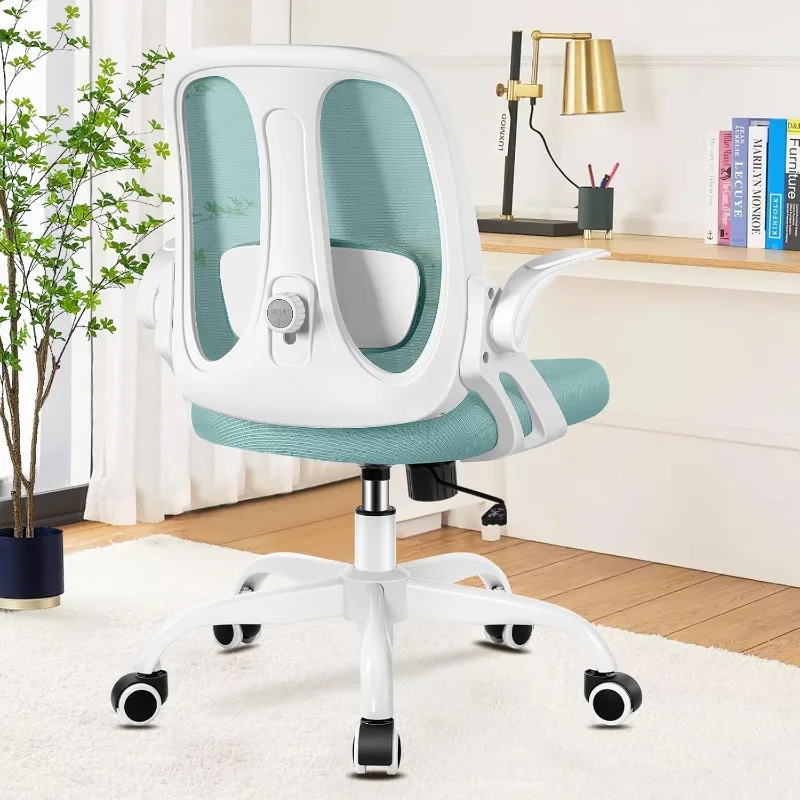 

Razzor Office Chair, Ergonomic Computer Desk Chair with 2D Lumbar Support and Flip-up Arms, Swivel Breathable Mesh Task Chair