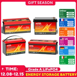 12V 100Ah 200Ah 300Ah 24V 60Ah LiFePO4 Battery Lithium Batteries with BMS 6000+ Cycles Rechargeable Grade A Cells for RV Solar