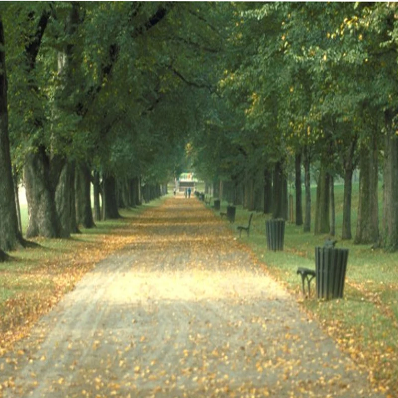 

CRRC-PRO Alloy CNC Methanol Engine Test Bench Set Run-in Bench For RC Airplane Helicopter DIY Tool Parts