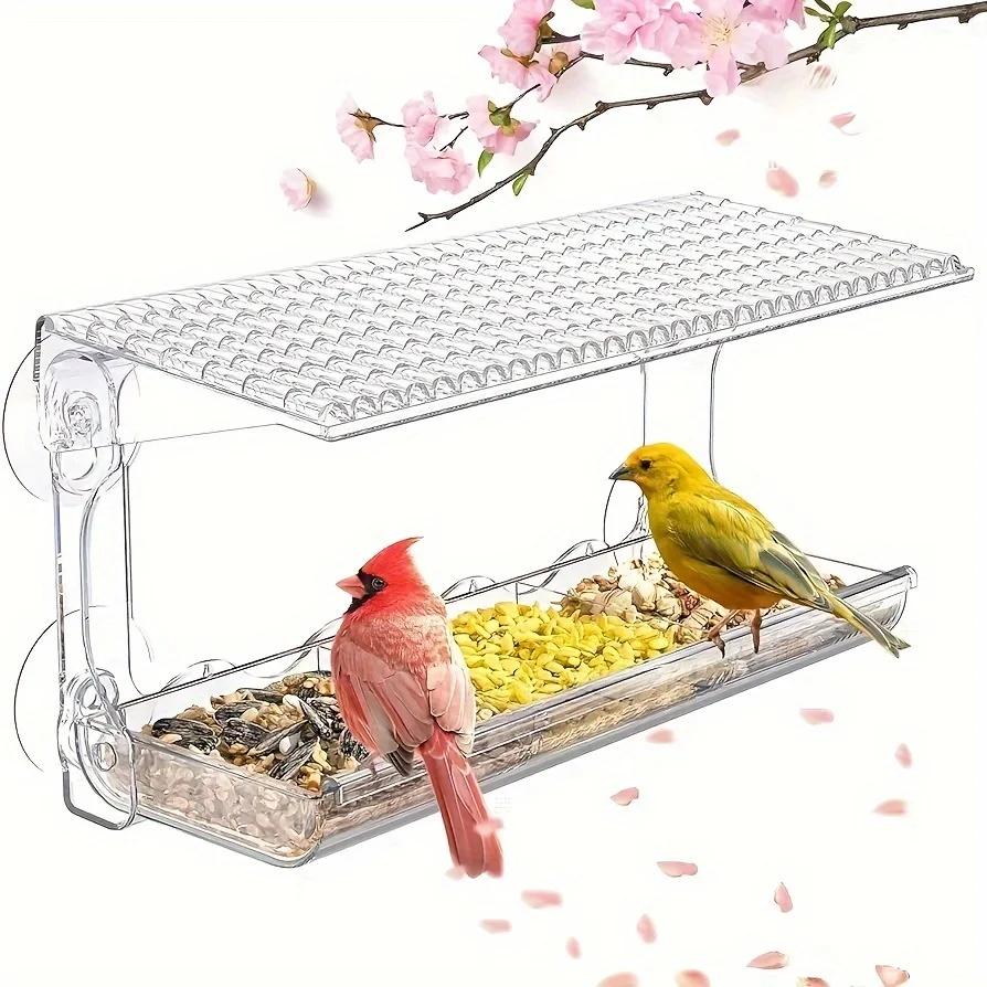 #14 Best Bird Feeders to Buy In 2026