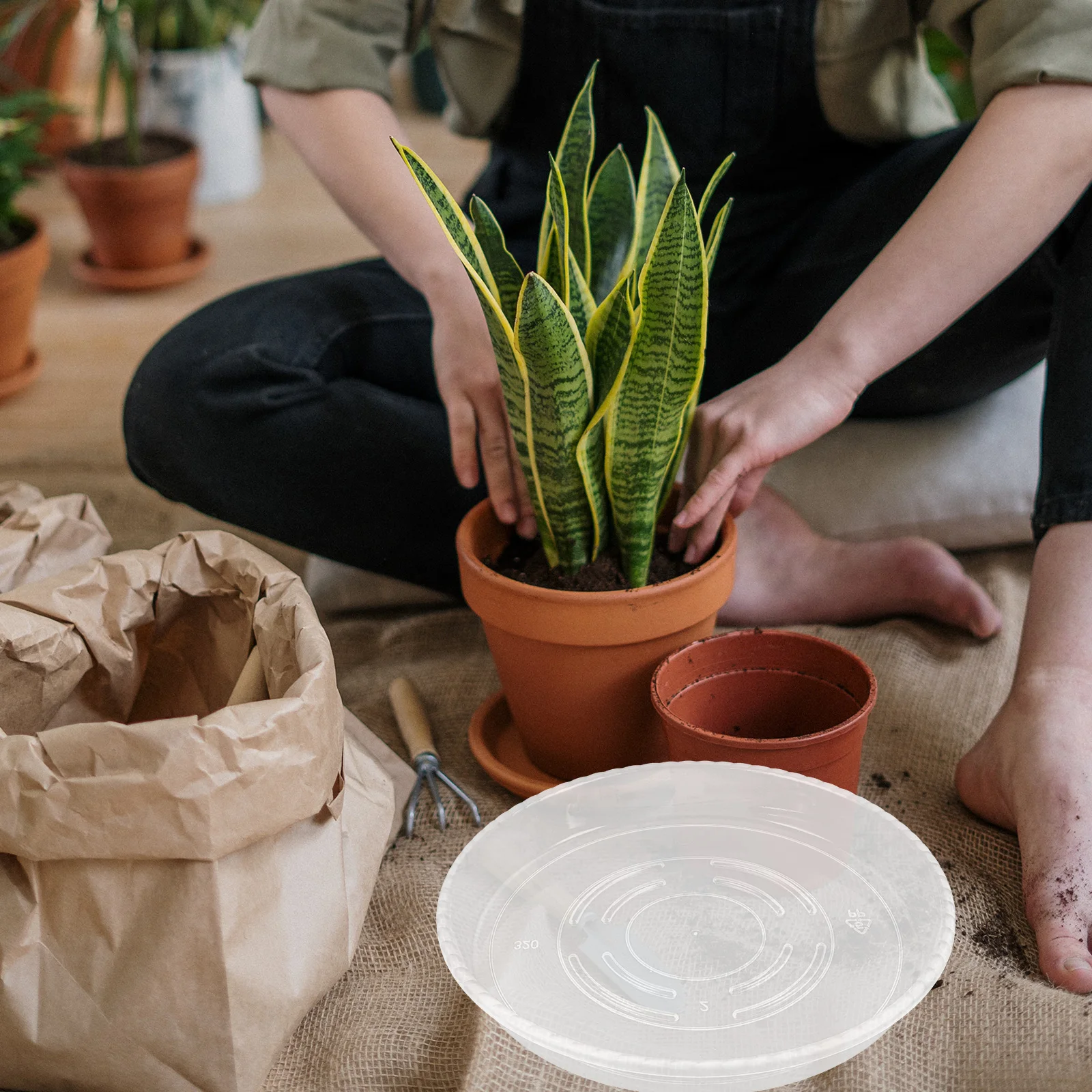 

8 шт. поднос для цветочного горшка, прозрачные горшки для домашних животных, блюдце, 12-дюймовая защита поверхностей, защита от протечек воды, балкон, сад