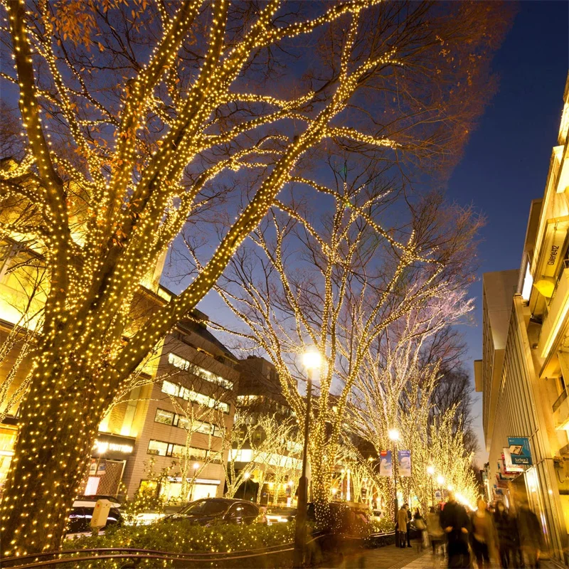 Guirnalda de luces LED para árbol de Navidad, luces para fiesta de cumpleaños, jardín, 100M, 50M, 30M, 20M, 10M, 220V, 110V