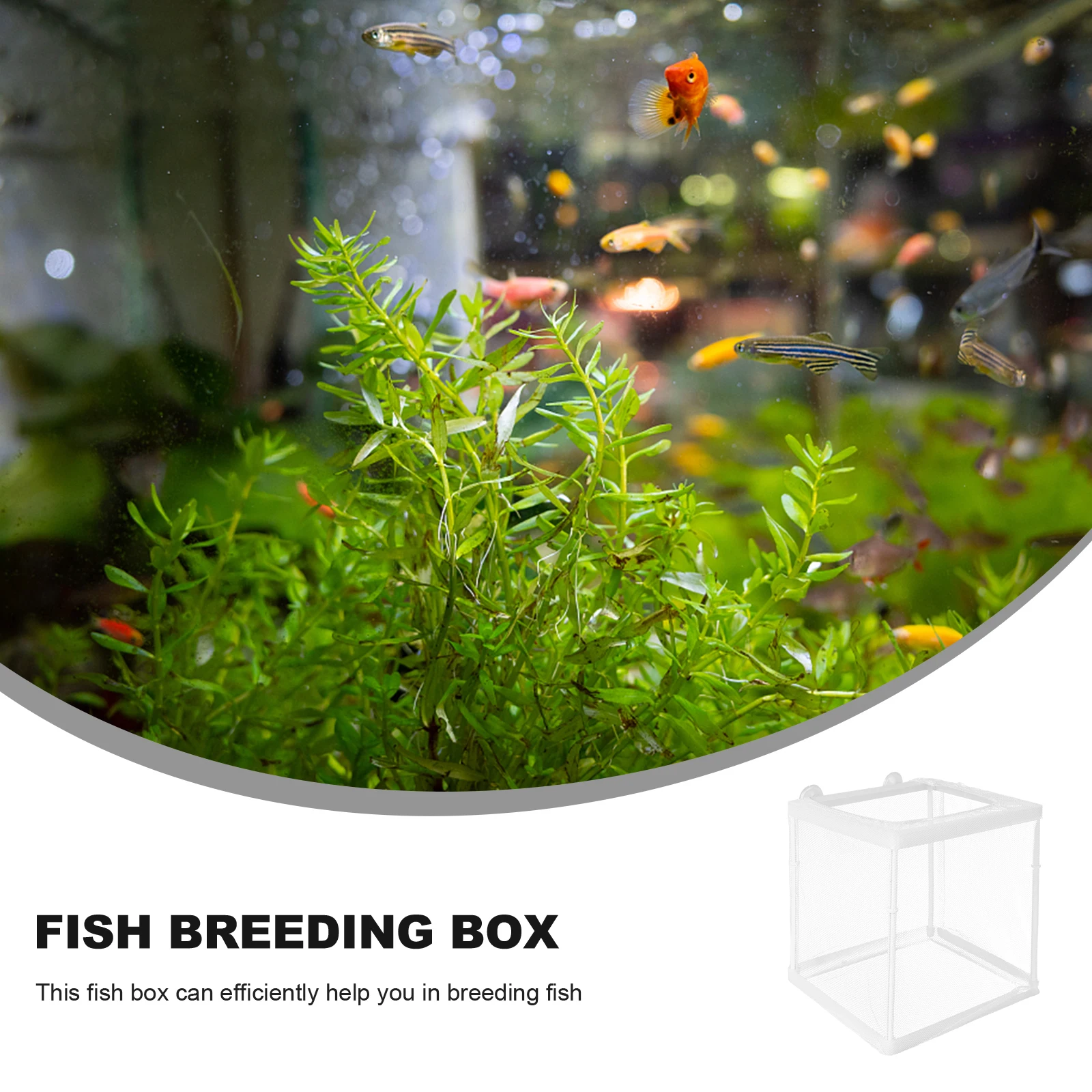 

1Pcs Fish Breeding Box Detachable Practical Fish Isolation Tank Home Aquarium Hatchery Protection Box Breeding Tank