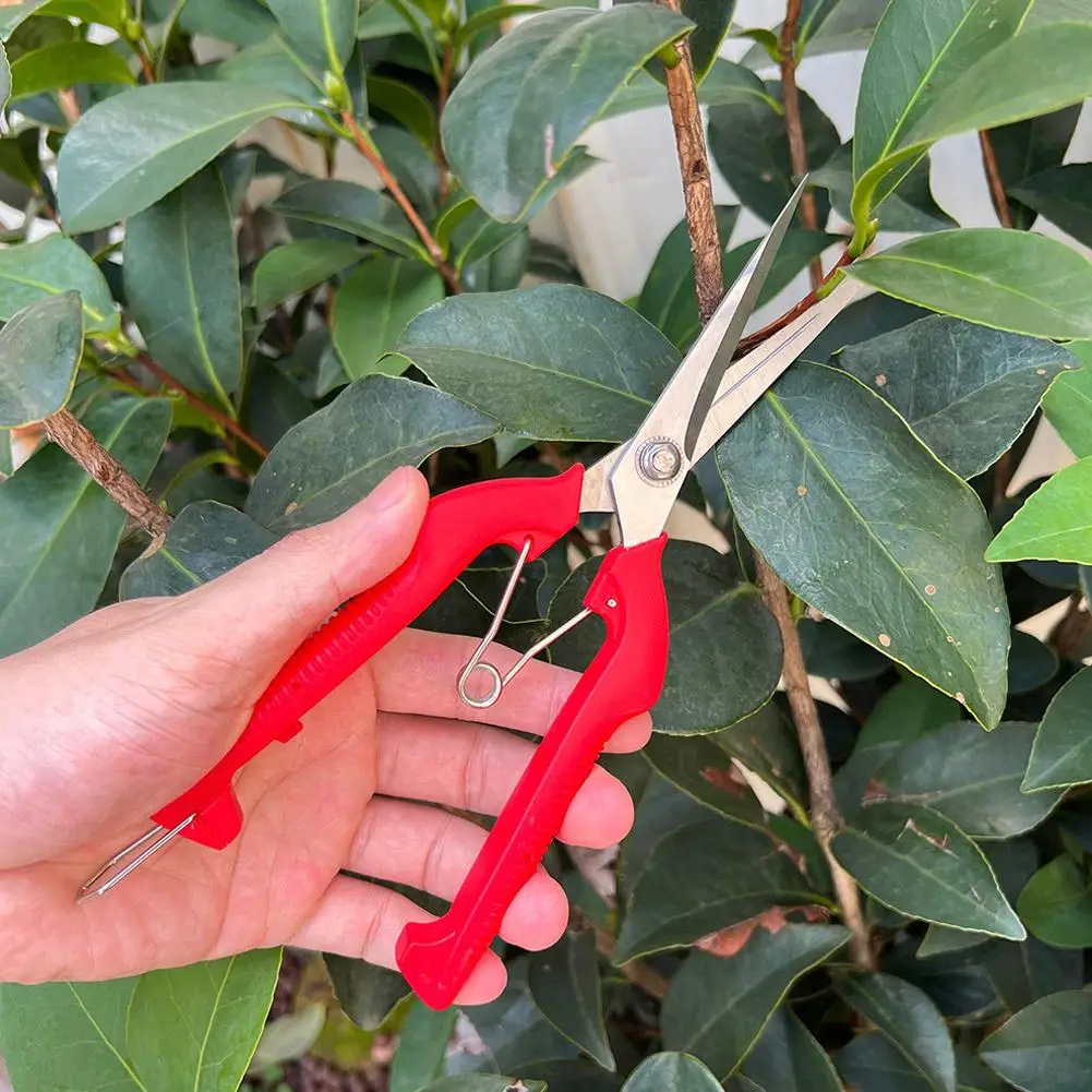 Pro Garden Pruning Shears Lengthened Tree Flower Scissors Hand Bonsai Clippers Pruning Snips Standard Orange - view 2